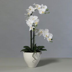 orhidee artificiala alba in ghiveci ceramic 70 cm 1131