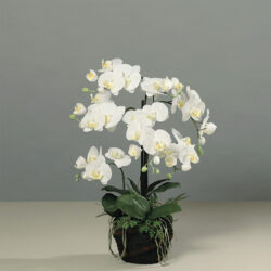orhidee artificiala alba pentru ghiveci 77 cm 2407