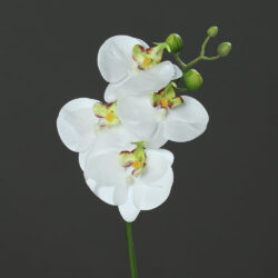 orhidee artificiala crem 46 cm 262