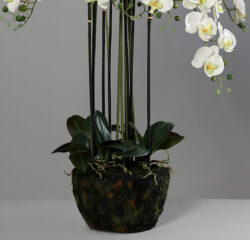 orhidee artificiala crem pentru ghiveci 140 cm 1016