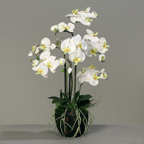 orhidee artificiala crem pentru ghiveci 77 cm 2401