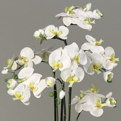 orhidee artificiala crem pentru ghiveci 77 cm 2403