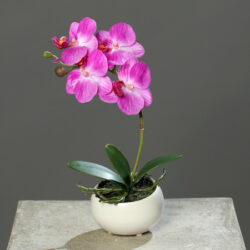 orhidee artificiala mov in ghiveci ceramic 840