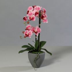 orhidee artificiala roz crem in ghiveci ceramic 1167