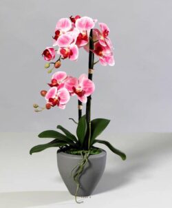 orhidee artificiala roz crem in ghiveci ceramic 1171