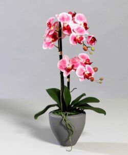 orhidee artificiala roz crem in ghiveci ceramic 1172