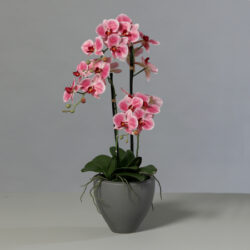orhidee artificiala roz crem in ghiveci ceramic 70 cm 1136