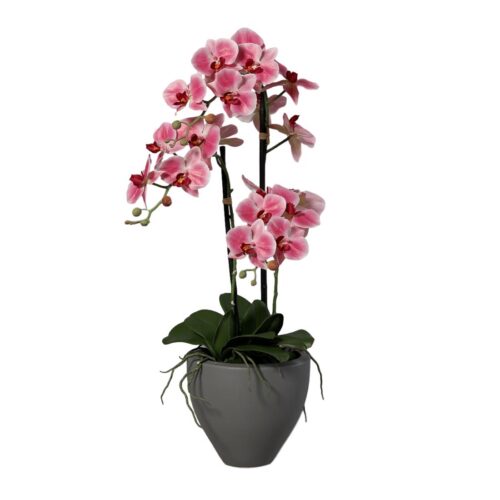 orhidee artificiala roz crem in ghiveci ceramic 70 cm 1142