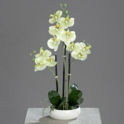 orhidee artificiala verde crem in ghiveci ceramic 36 cm 951