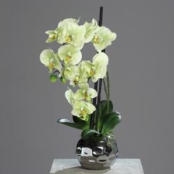 orhidee artificiala verde crem in ghiveci ceramic 50 cm 822