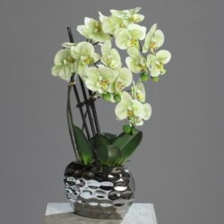 orhidee artificiala verde crem in ghiveci ceramic 50 cm 827