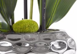 orhidee artificiala verde crem in ghiveci ceramic 50 cm 833