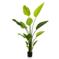 planta artificiala strelitzia in ghiveci 150 cm 736