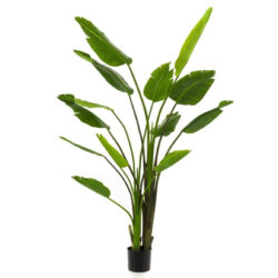 planta artificiala strelitzia nicolai in ghiveci 180 cm 745