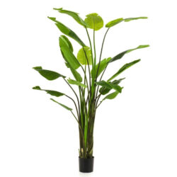 planta artificiala strelitzia nicolai in ghiveci 235 cm 683