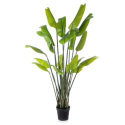 planta artificiala strelitzia palm in ghiveci 200 cm 662