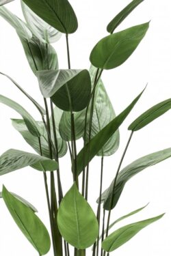 planta heliconia artificiala in ghiveci 125 cm 2070