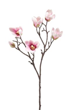 ramura magnolia artificiala crem roz 1872
