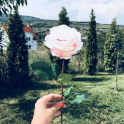 trandafir artificial alb roz 56 cm 681