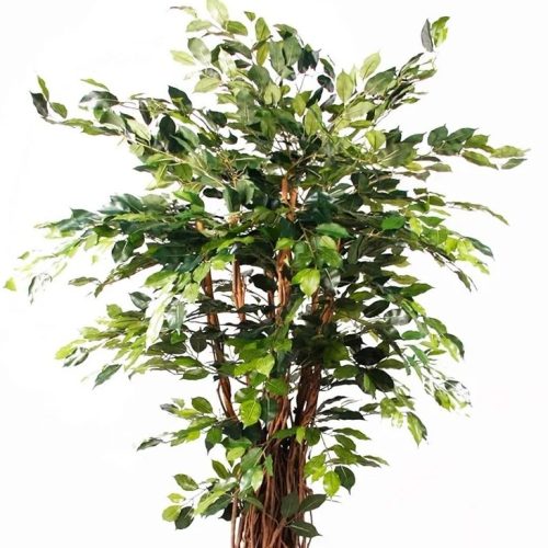 ficus artificial benjamina liana deluxe 175 cm 1602