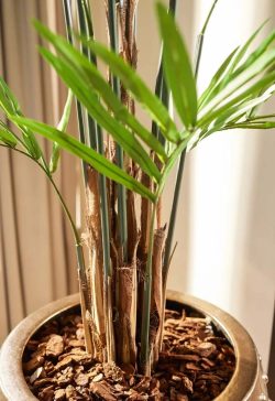 palmier artificial kentia in ghiveci 270 cm 2511
