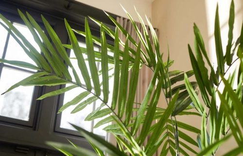 palmier artificial kentia in ghiveci 270 cm 2512