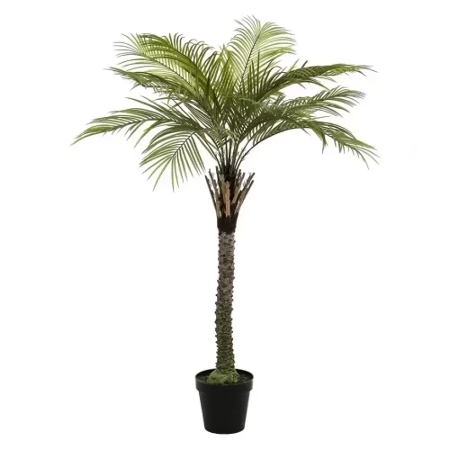 Palmier artificial decorativ Phoenix in ghiveci – 220 cm
