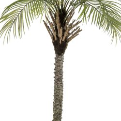 palmier artificial decorativ phoenix in ghiveci 180 cm 2740