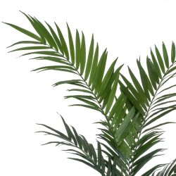 palmier artificial kentia in ghiveci 150 cm 2699