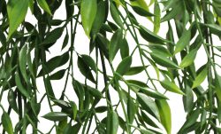 planta artificiala curgatoare bamboo verde uv 80 cm 2929