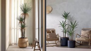 Copac artificial Yucca - Eleganta si prospetime verde in decorul tau interior