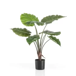 Planta artificiala Alocasia in ghiveci – 70 cm
