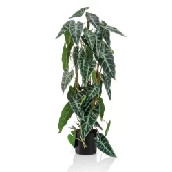 Planta artificiala Alocasia in ghiveci – 75 cm