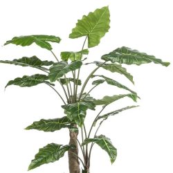 copac artificial alocasia cu 22 frunze 180 cm 3093
