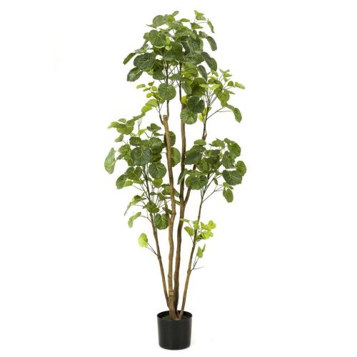 copac artificial poliscia polyscias cu 279 frunze 160 cm 3049