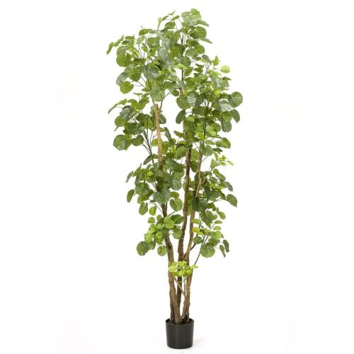 copac artificial poliscia polyscias cu 591 frunze 195 cm 3054