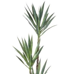 copac artificial yucca wild x3 150 cm 3161