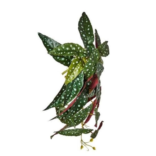 Creanga artificiala Begonia pestrita 45 cm