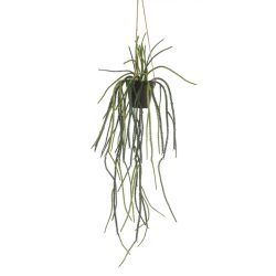 Planta artificiala curgatoare Rhypsalis in ghiveci – 85 cm
