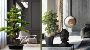 6 movite ca sa alegi un bonsai artificial decorativ de la amsieu.ro