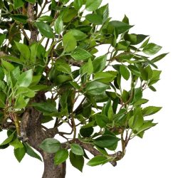 bonsai artificial ficus in ghiveci ceramic 50 cm 4419