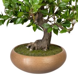 bonsai artificial ficus in ghiveci ceramic 50 cm 4420