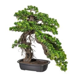 bonsai artificial podocarpus in ghiveci 65 cm 4474