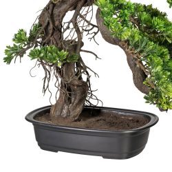bonsai artificial podocarpus in ghiveci 65 cm 4478