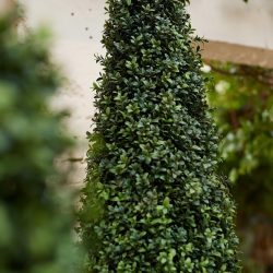 buxus artificial 50cm uv in ghiveci boxwood 165 cm 4054