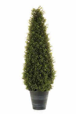 buxus artificial 50cm uv in ghiveci boxwood 165 cm 4055