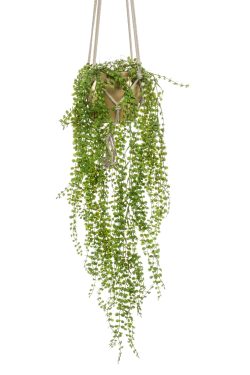 planta artificiala curgatoare ficus pumila in ghiveci 100 cm 3846