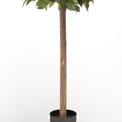 sfera dafin artificial in ghiveci laurel 150 cm 3995