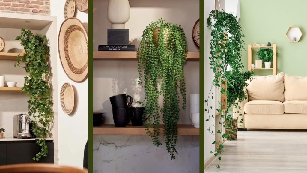 Plante artificiale curgatoare decorative: 5 motive pentru care sa le alegi