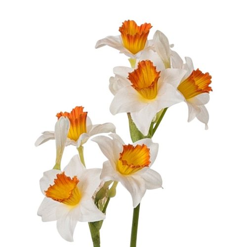 Floare artificiala Narcisa 2 fire alb 62 cm2